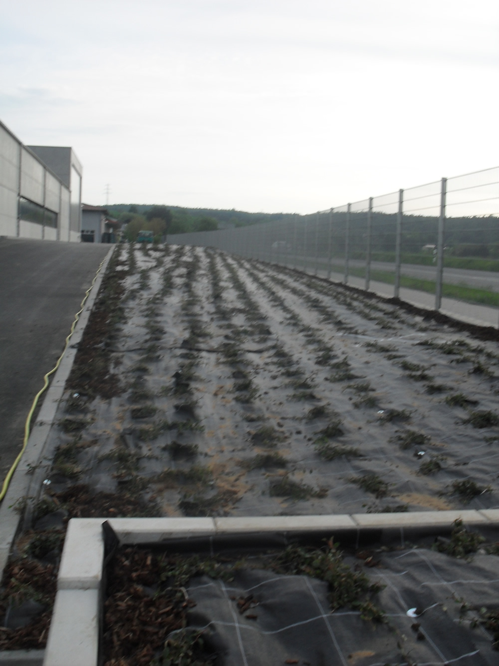 sauer-stiftung 1 - kopie_m.jpg